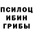 Псилоцибиновые грибы GOLDEN TEACHER Tomek K
