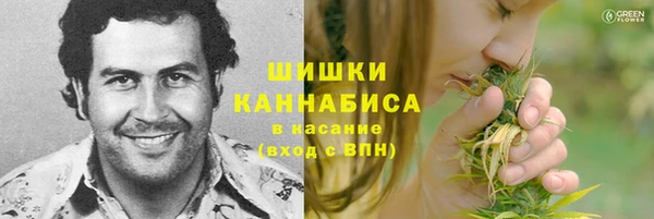 мдпв Надым